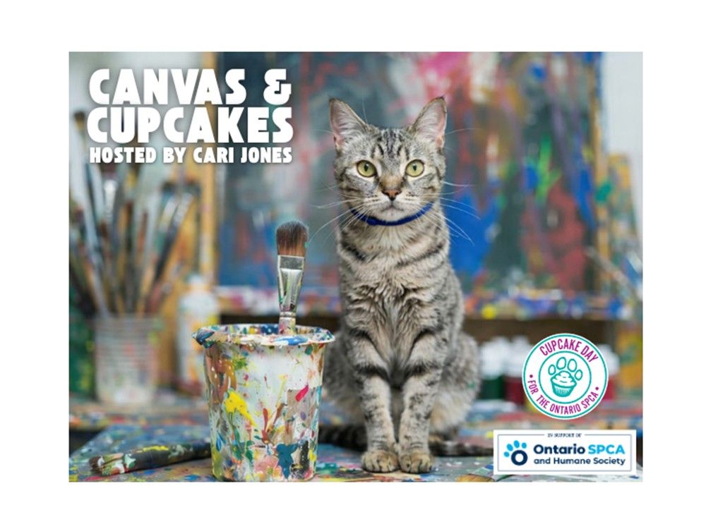 OSPCA hosts Canvas and Cupcakes art event in Pembroke