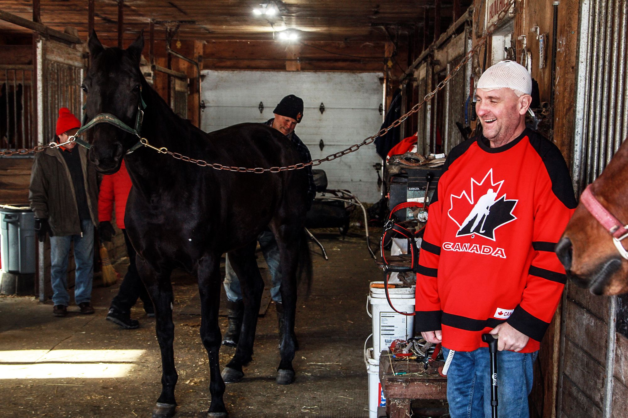 John MacMillan has races to run, honours to collect, his life sustained by science and a love of horses