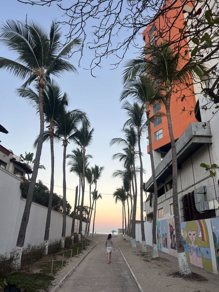  More than 160,000 Canadians visited Puerto Vallarta in the first three months of 2024 alone.