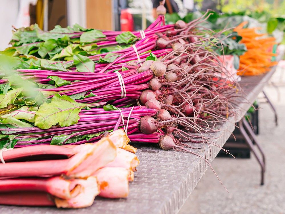 Vendors wanted for Dutton Farmers Market