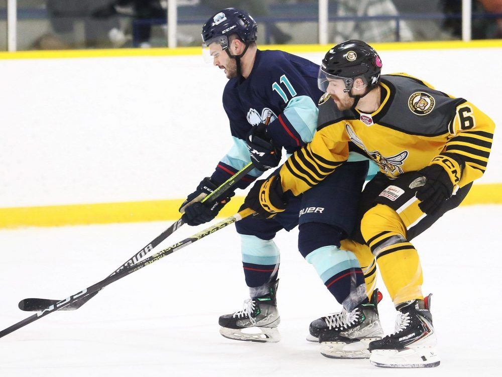 Local roundup: Killer Bees tie series; Flyers, Flags set playoff dates