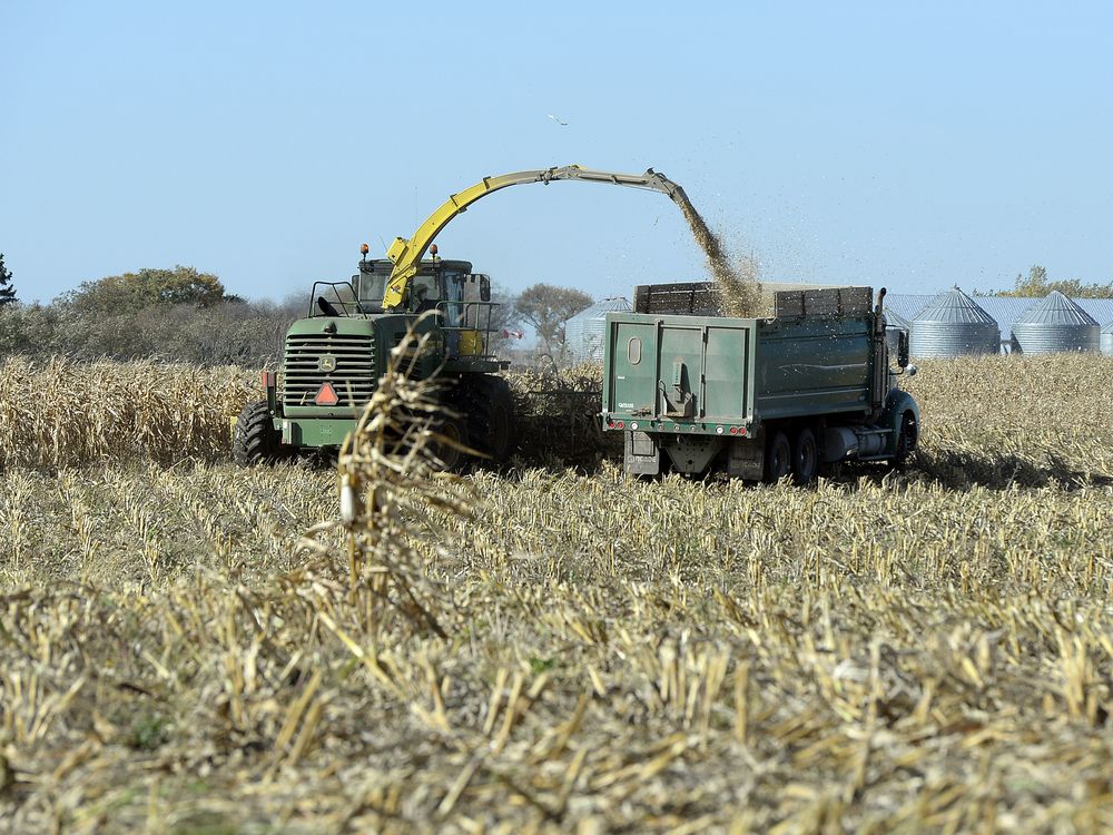 U.S. farm leaders support CUSMA