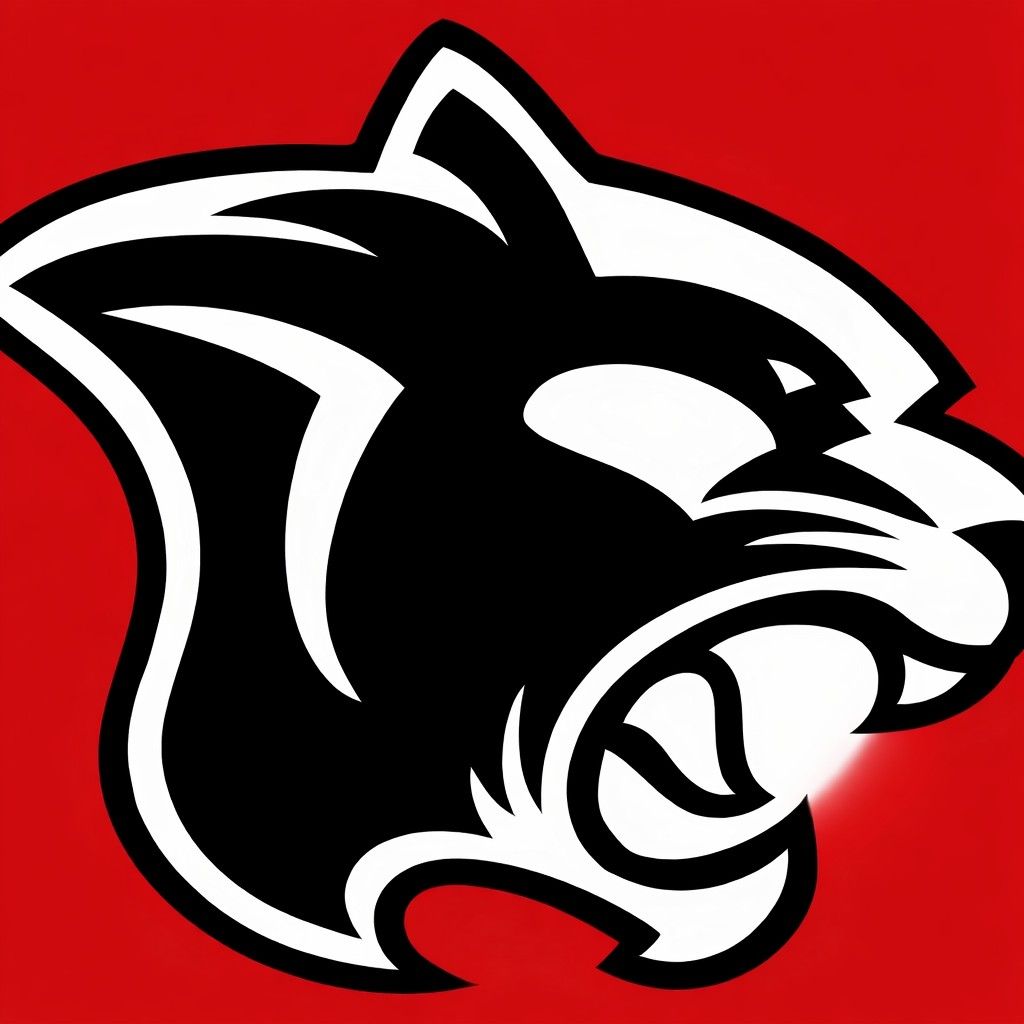 Paris Panthers rolling in senior boys basketball