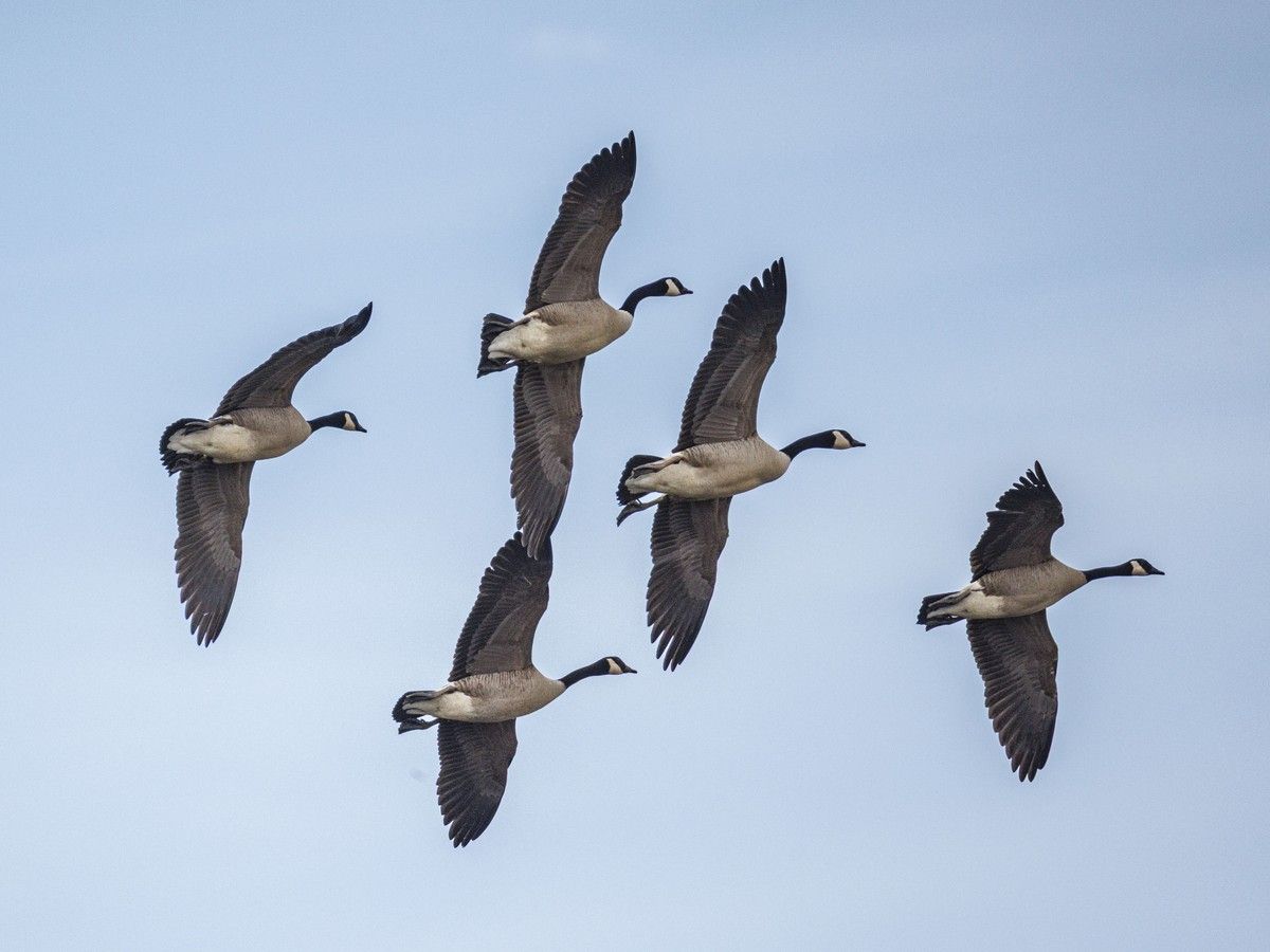 Farmgate: Mother Nature tells us spring is not that far away