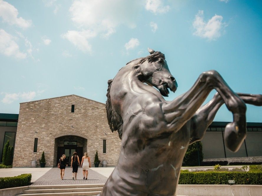 Cowbell Brewing buys Grand Bend’s Dark Horse Estate Winery