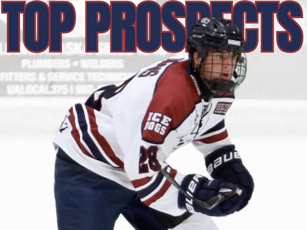 Owen Sound Attack add forward from Wisconsin for next year