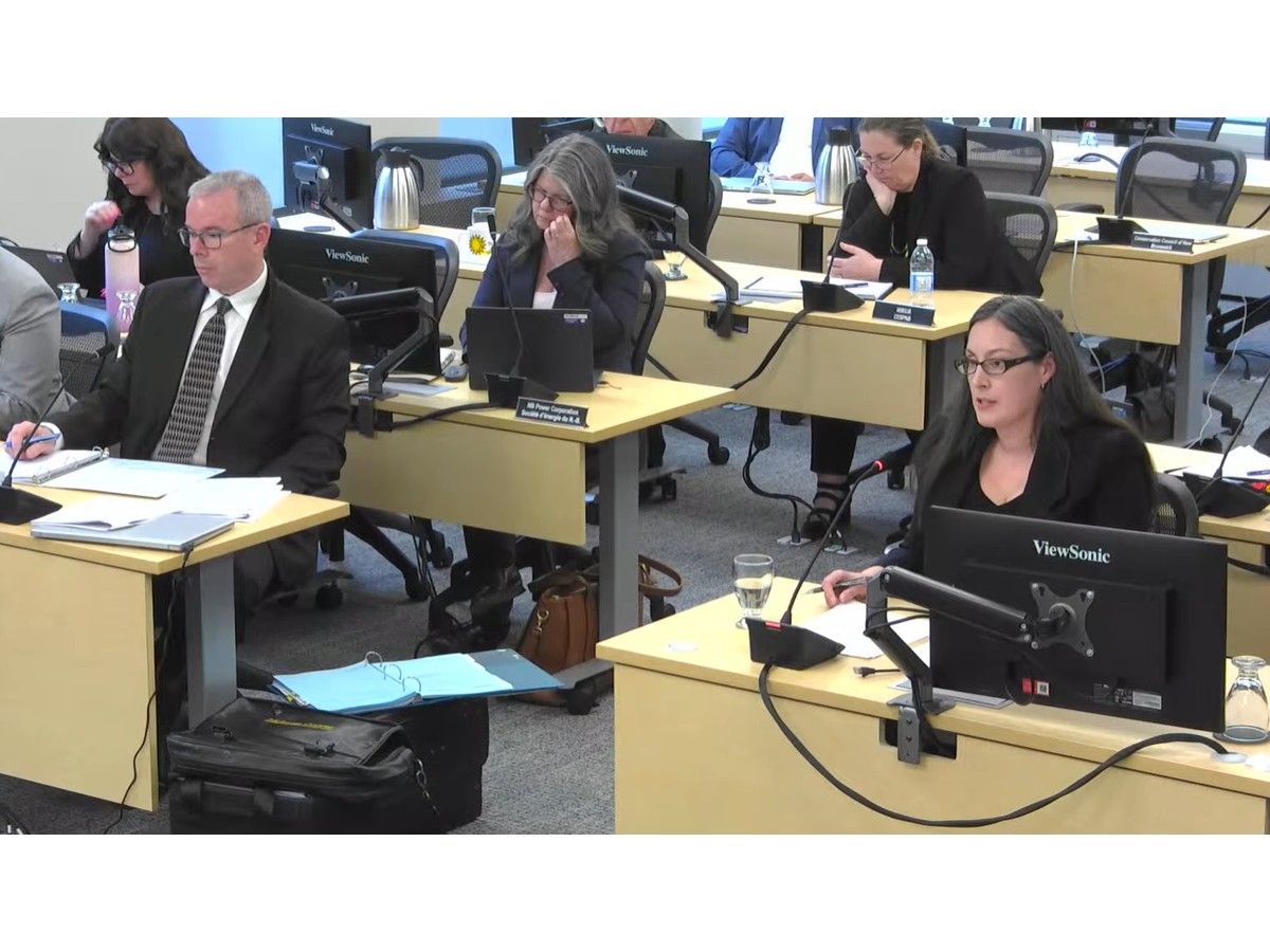 Too much financial uncertainty on gas plant expansion, say intervenors