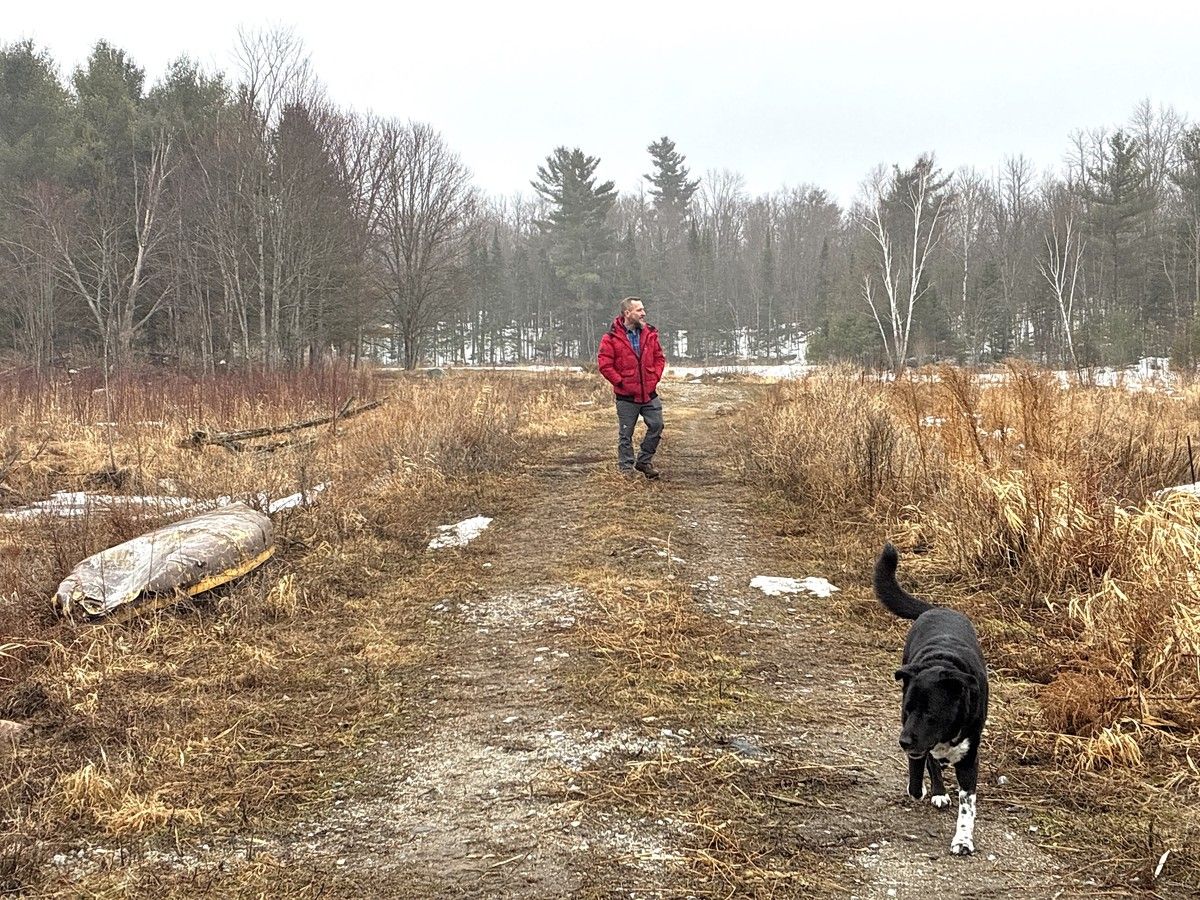 'When you lose old growth, you lose biodiversity': Central Frontenac resident worries about impact of high-speed rail