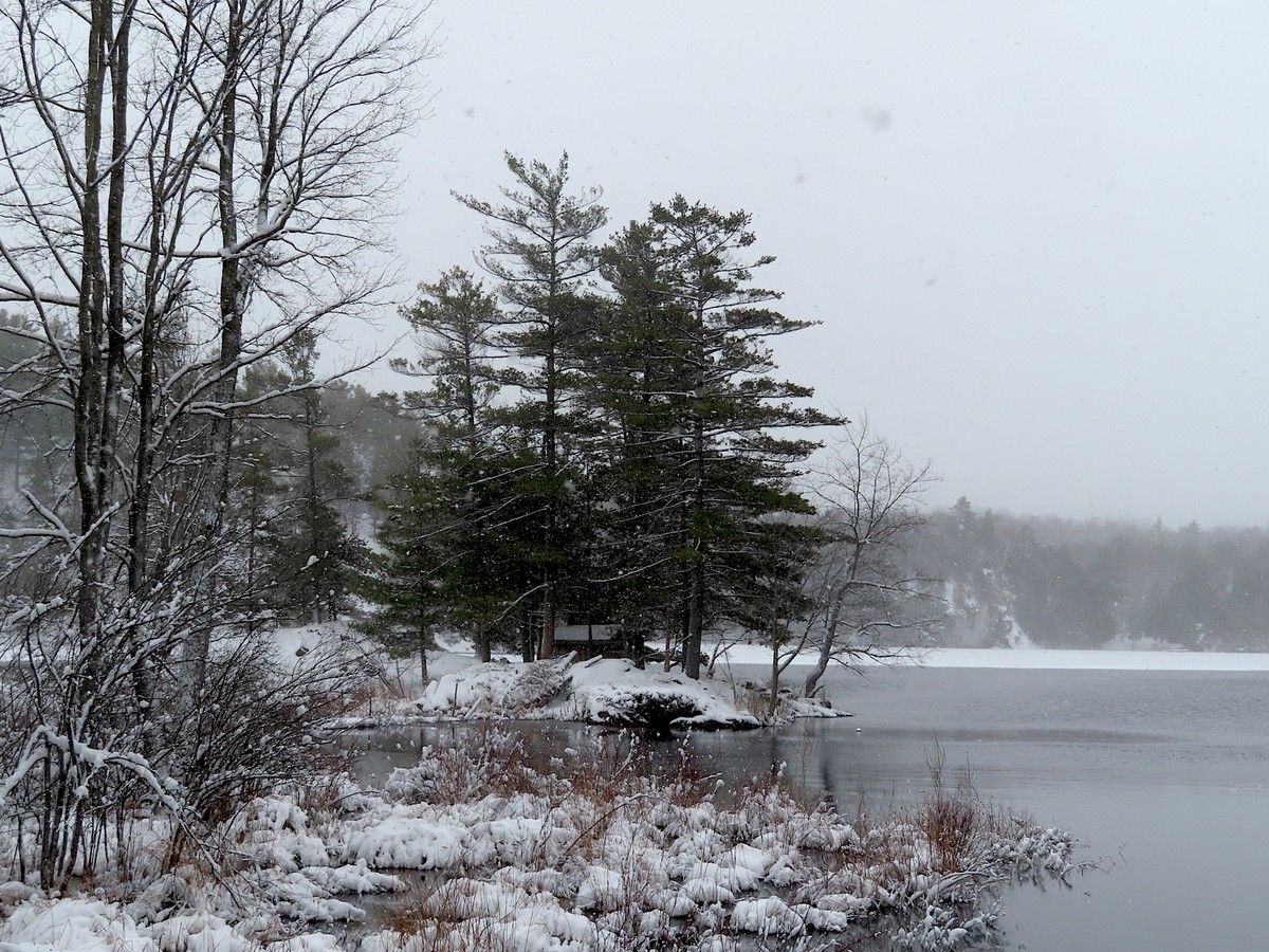 Frontenac Arch Biosphere opposes high-speed rail proposal