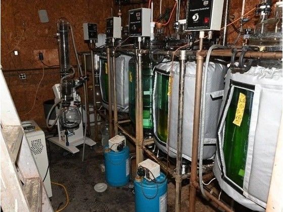 RCMP busts synthetic drug lab on farm near Norwich