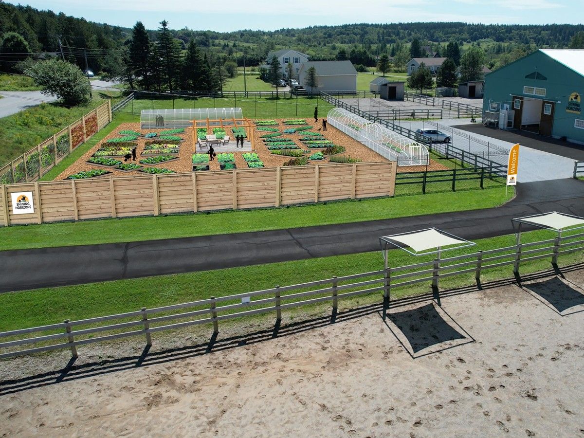 Care farm will aim to assist youth with mental health issues