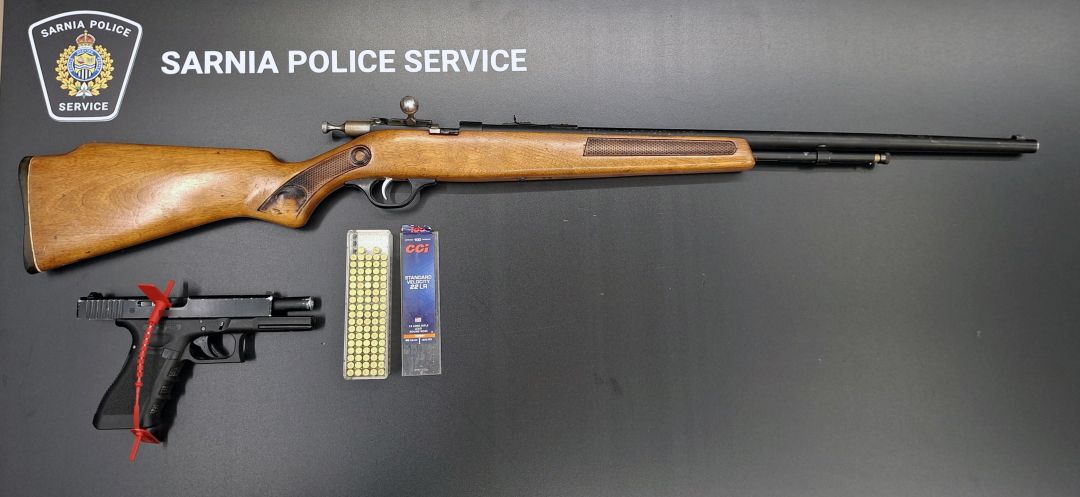 The Sarnia man arrested amid a police-issued shelter-in-place order linked to a pair of firearms has been sentenced to eight months in jail.