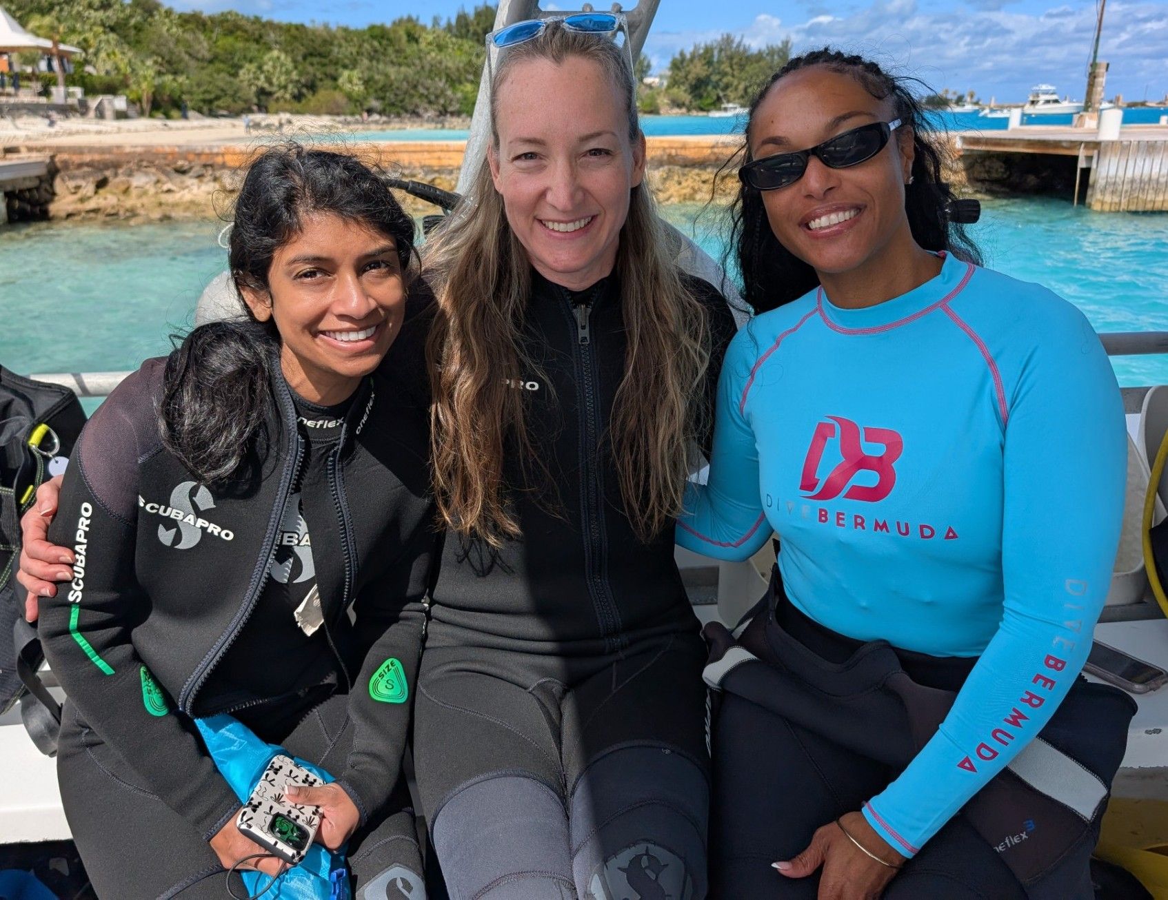 NADINE ROBINSON: Beyond shipwrecks - Finding wonder in Bermuda’s cathedral dive