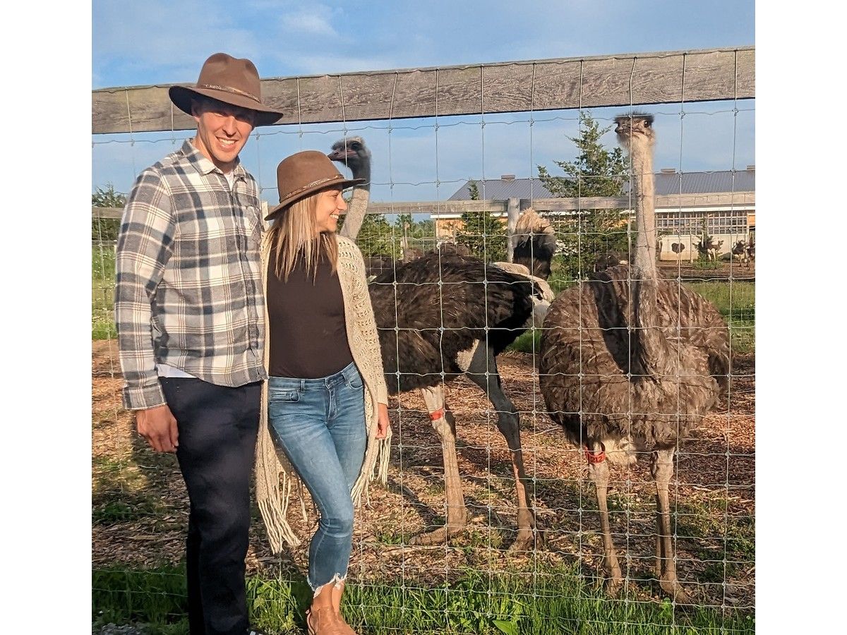 BELLEVILLE'S OWN: Why would anyone start an ostrich farm?