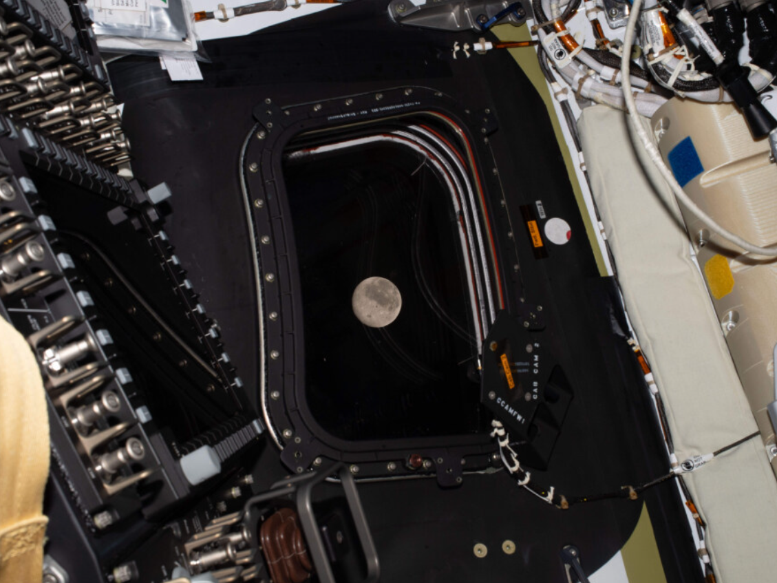 Jeremy Hansen, Artemis II's lunar flyby: When and how to watch