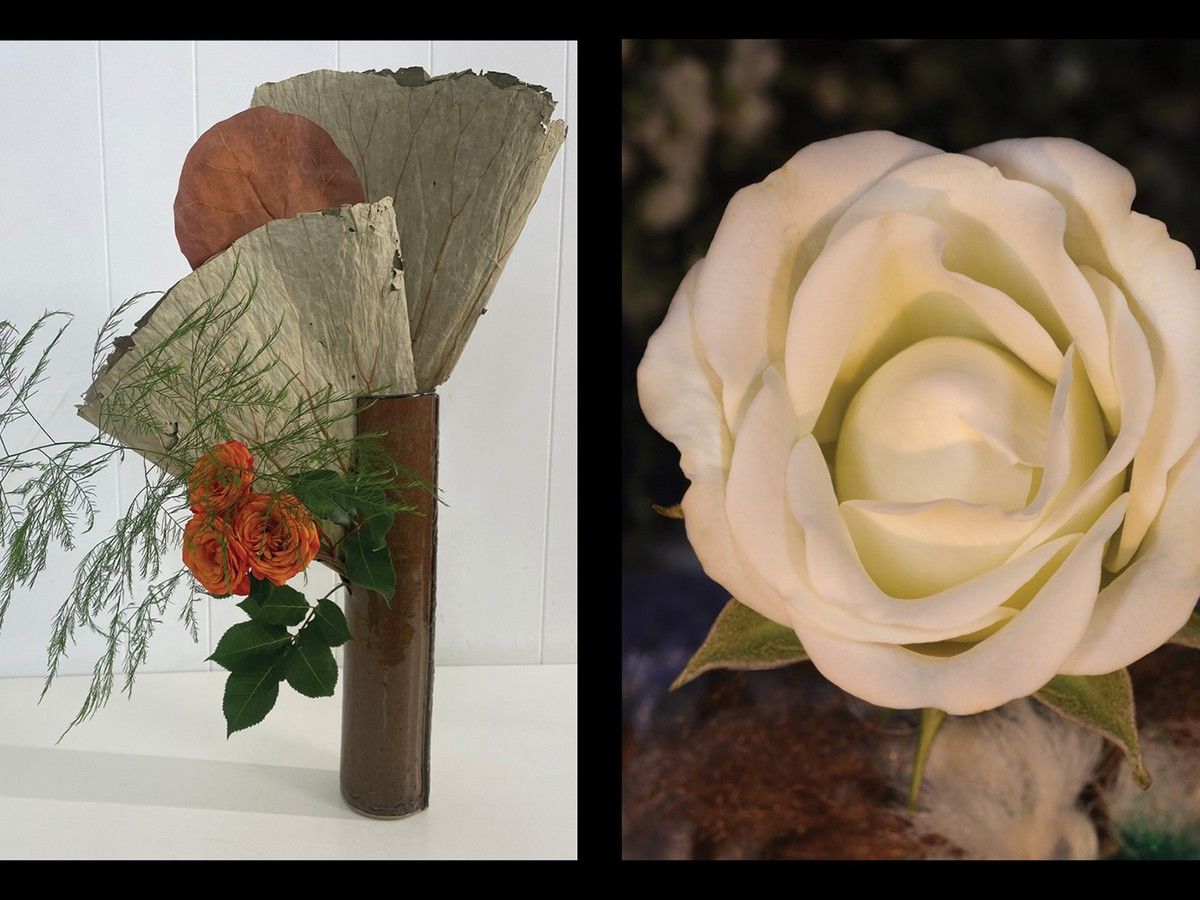Detailed Harmony: An Exploration of Form, Nature, and Stillness