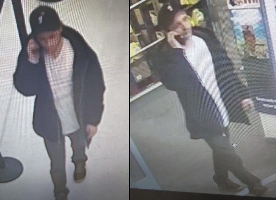 Police investigating thefts from vehicles south of Owen Sound