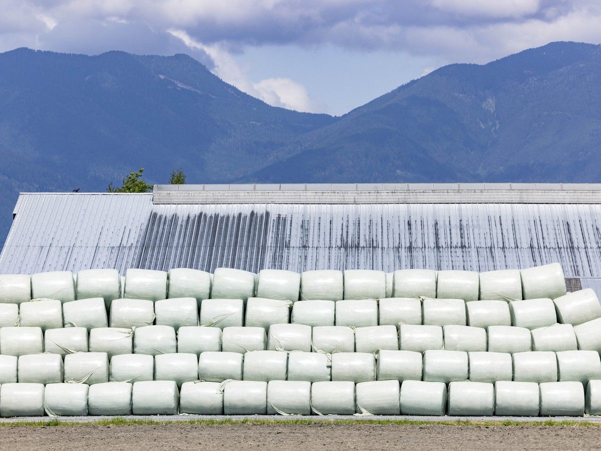 Farmgate: We need a solution for agricultural plastic waste