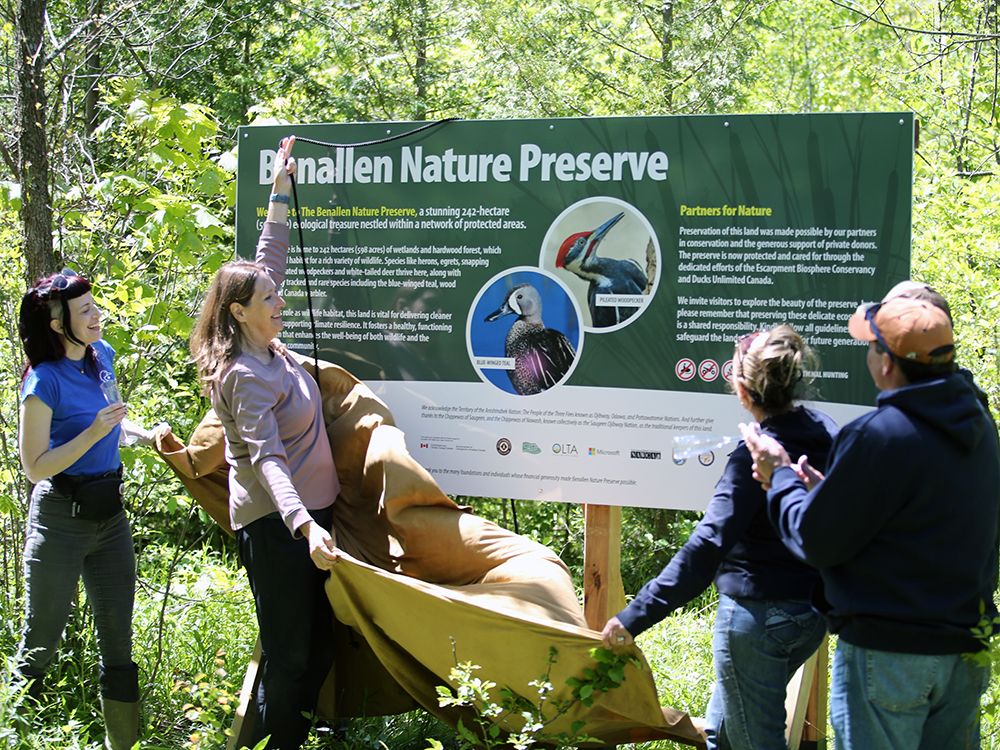 New 600-Acre Benallen Preserve safeguards critical habitat for at-risk species
