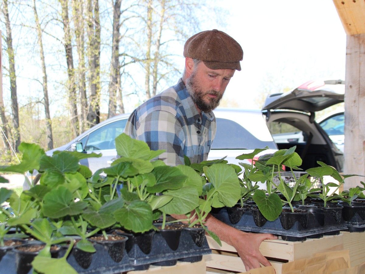 Mountjoy Farmers Market twice the size with new pavilion 