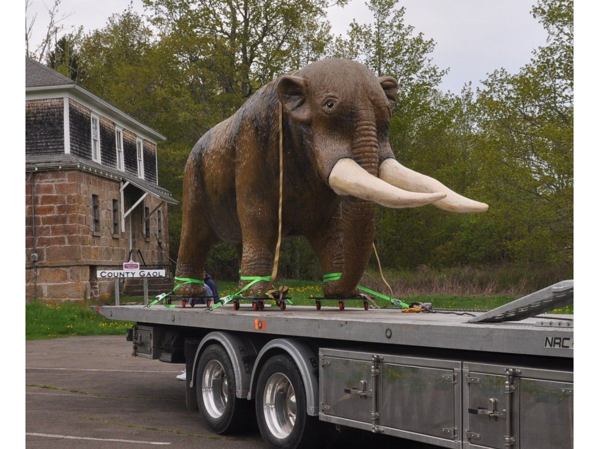 Hillsborough mastodon exhibit at Albert County Museum