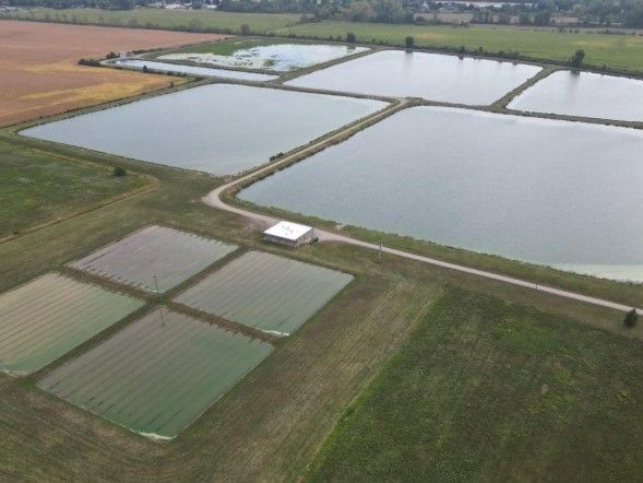 Oil spill identified in Blenheim wastewater plant lagoon system