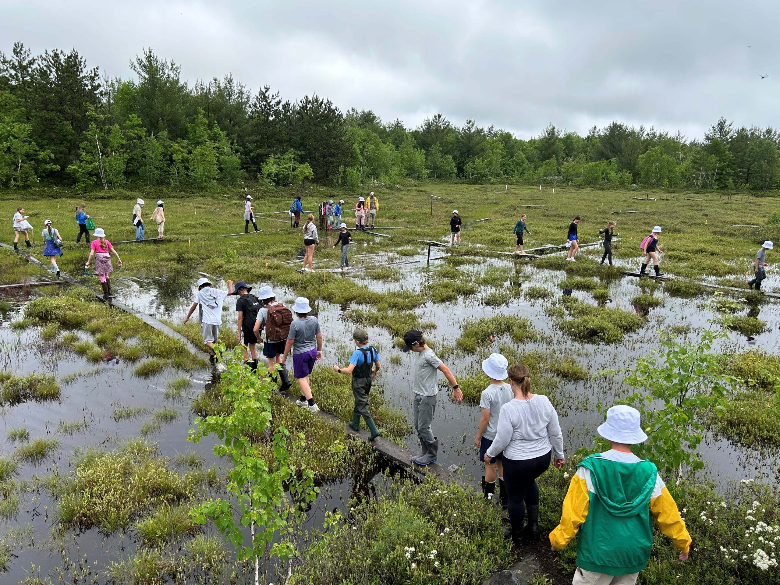 R.L. Beattie students take learning outdoors to restore Sudbury bog