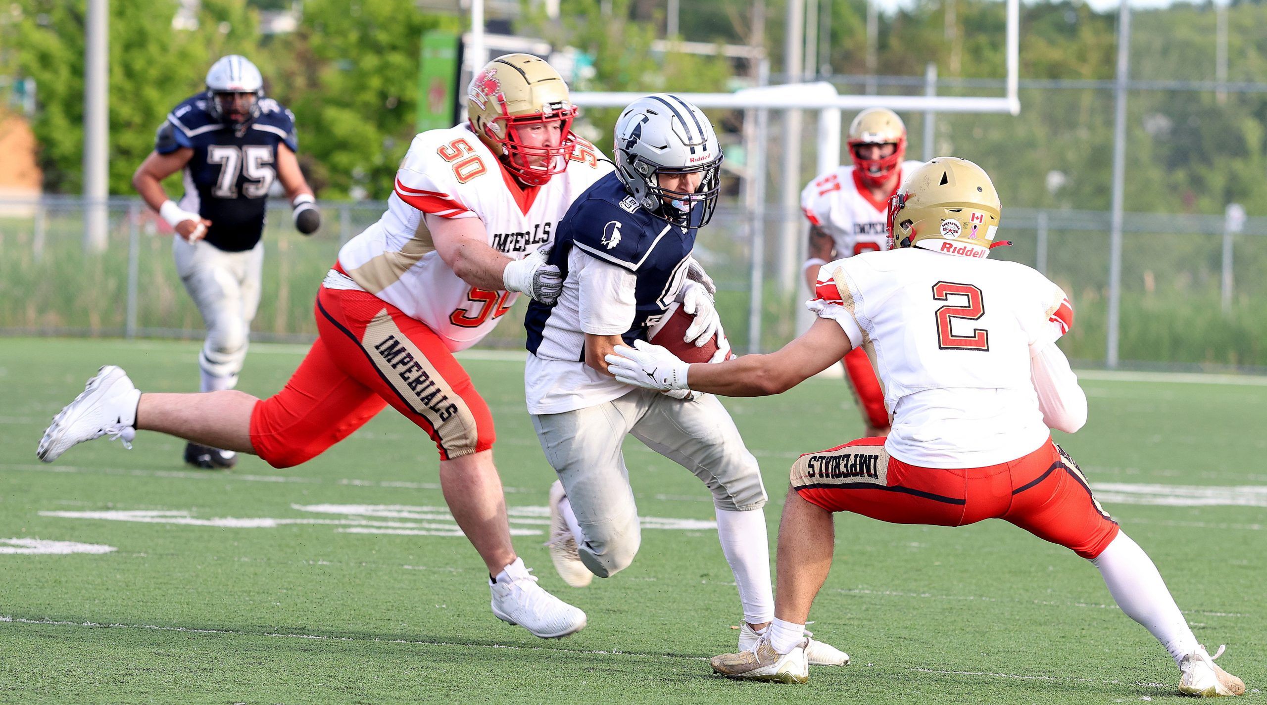 Youth, vets combine to shift Sudbury Spartans’ culture