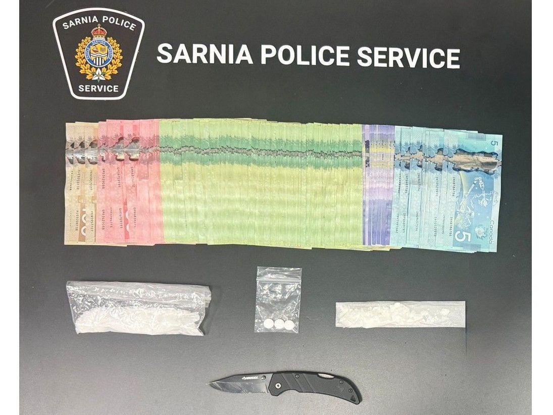 T.O. pair charged in Sarnia drug probe get bail, one still in jail