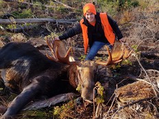 0708 lb moose
