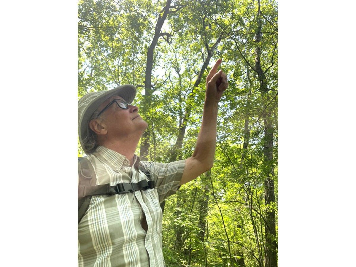 man points to tree