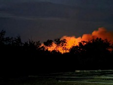 wildfire