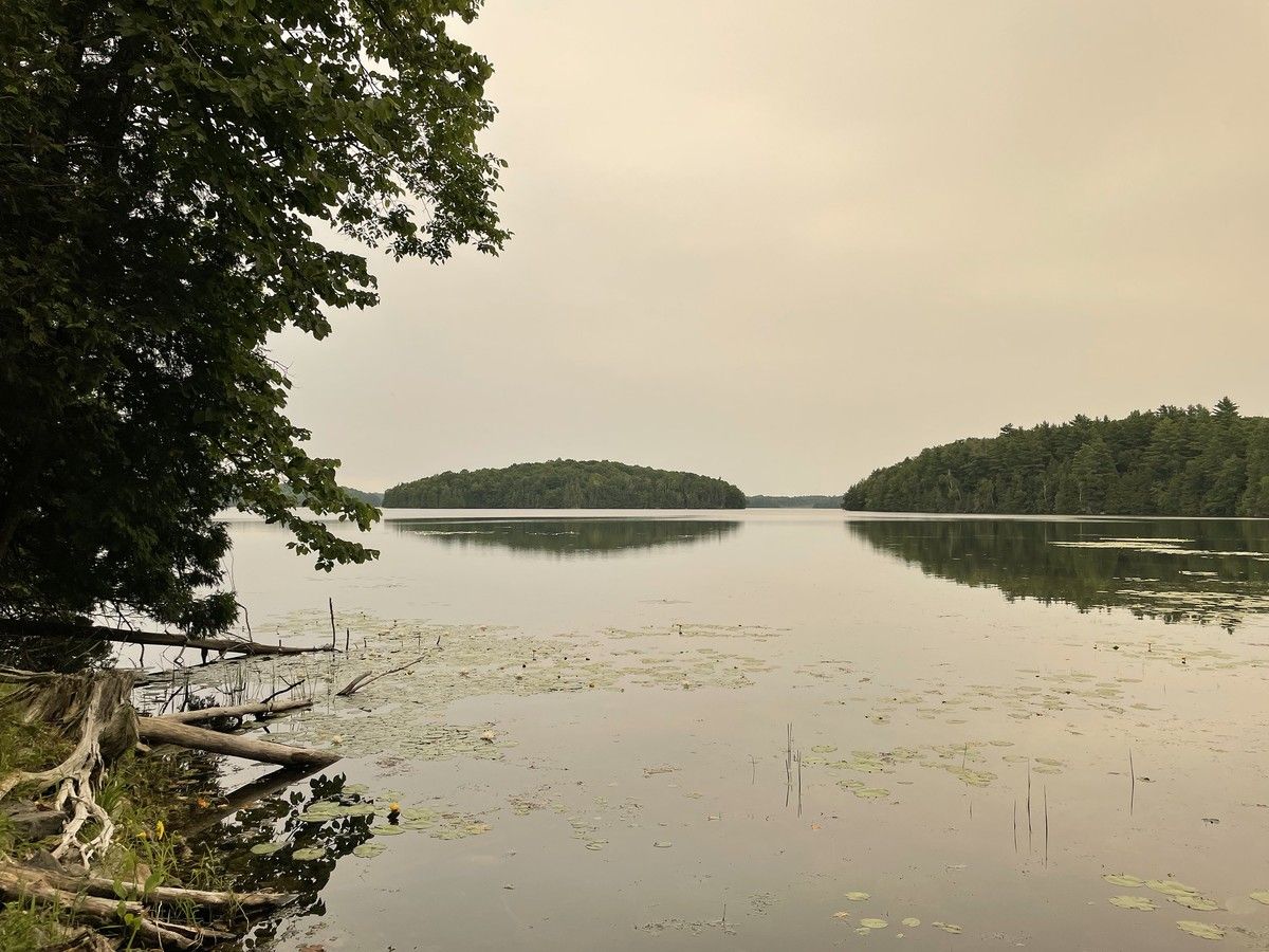 People urged to stay indoors as wildfire smoke descends on Kingston region