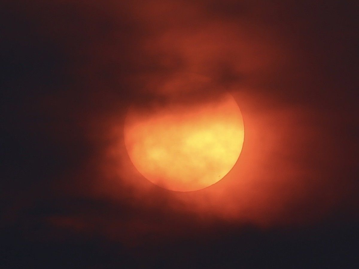 forest fire