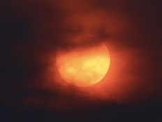 forest fire