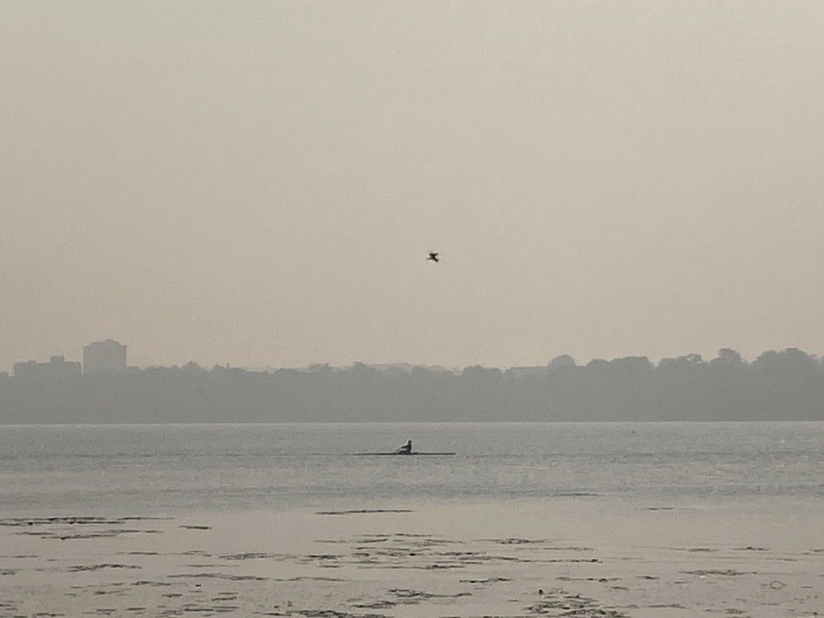 A rower practises on the Cataraqui River early Thursday morning despite the smoke-tinged sky.