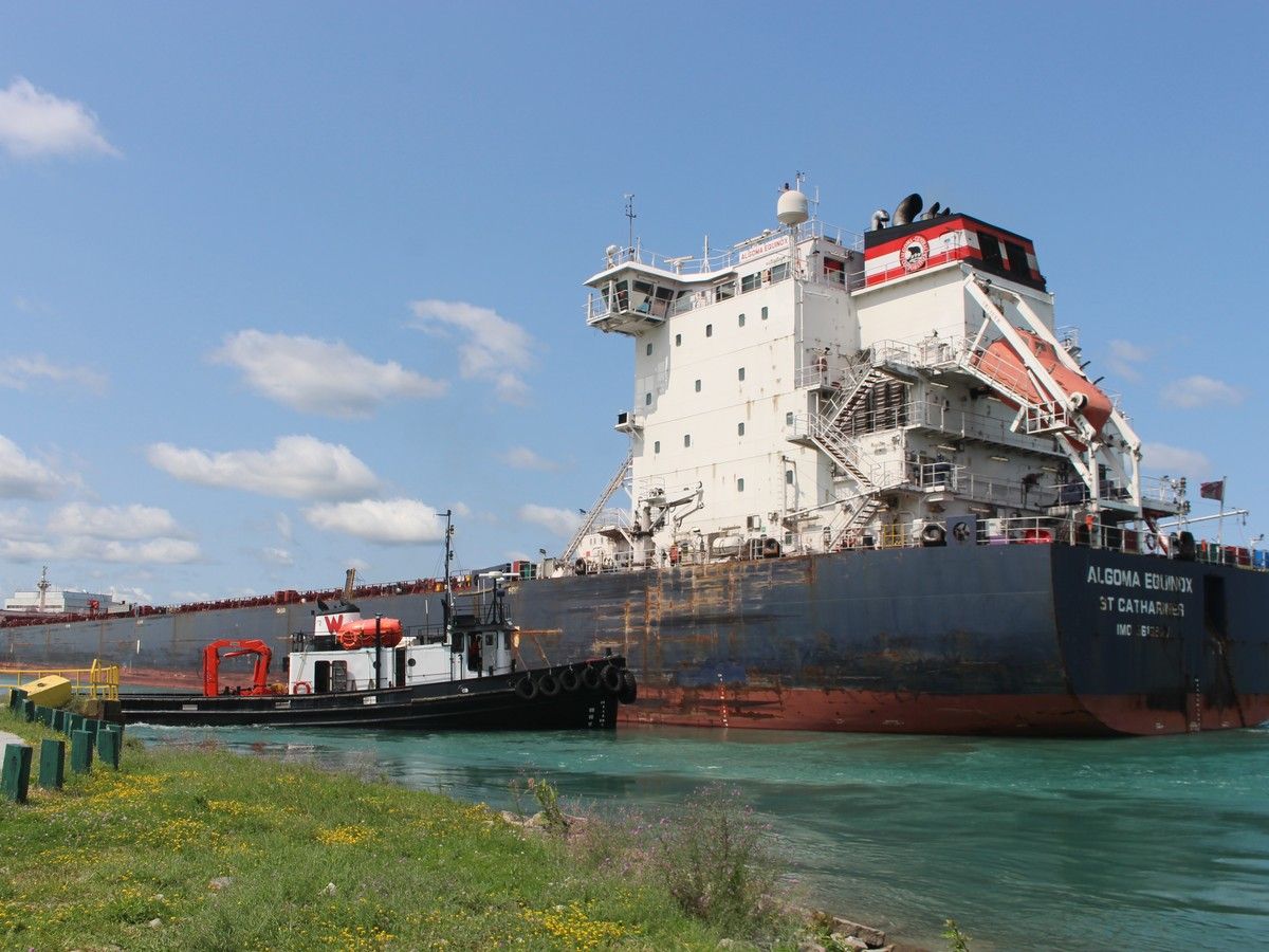 Lake freighter free after running aground near Sarnia Harbour