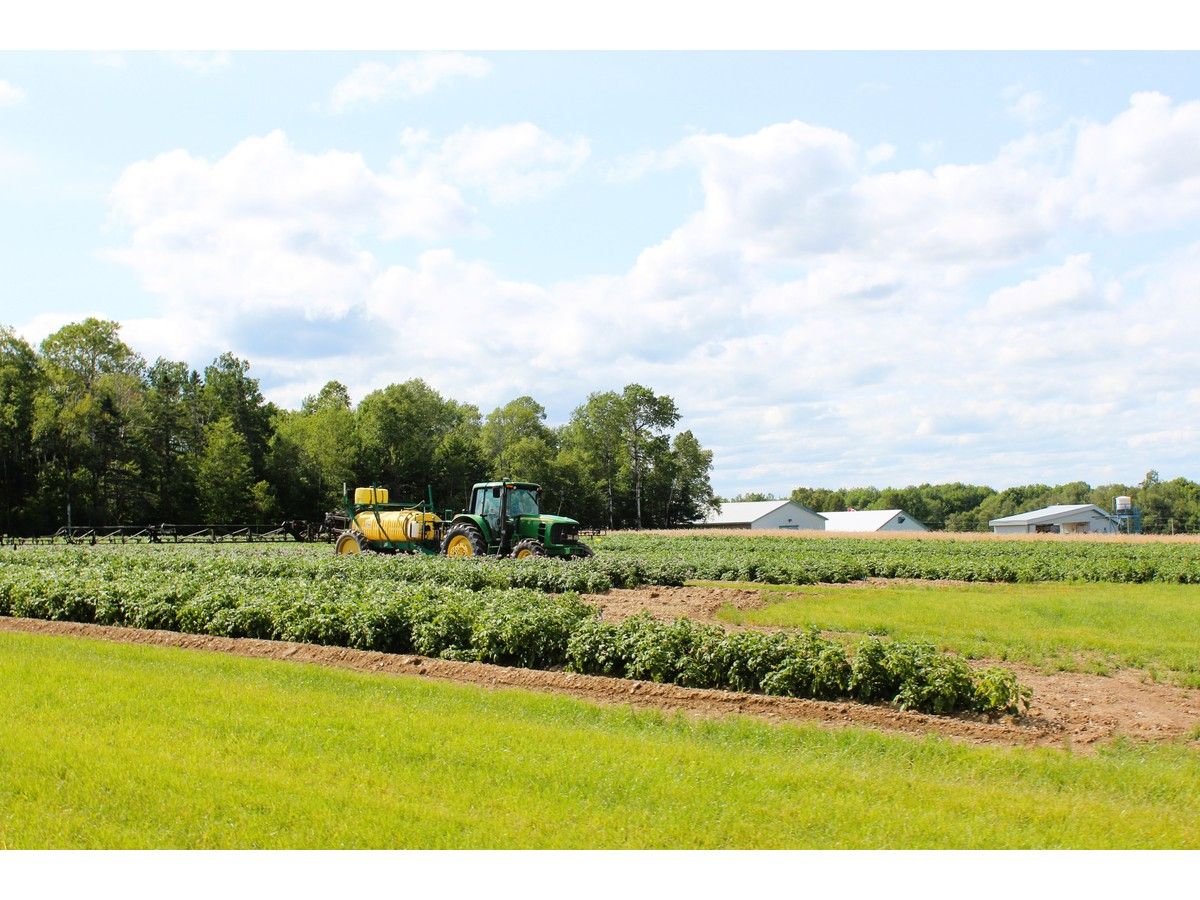 DNA, drones and data: New tech helping breed better potatoes, faster