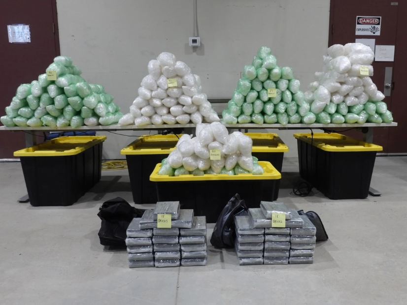 The four truck drivers recently arrested on the Blue Water Bridge on drug smuggling charges were part of a massive border probe.