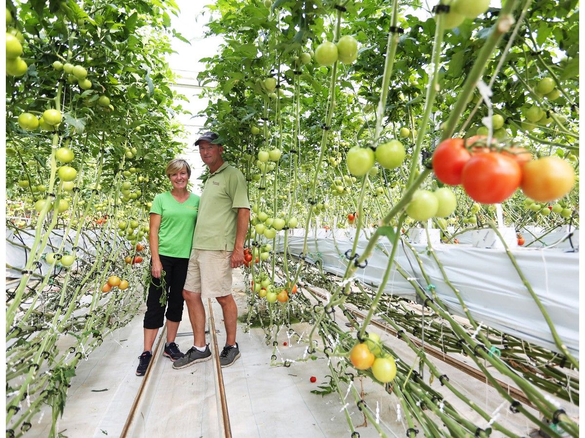 Farm to Flavours guides aim to connect southeastern Ontario residents with the neighbours who grow their food