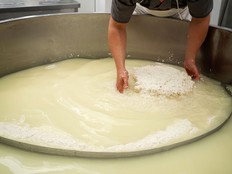 Whey production