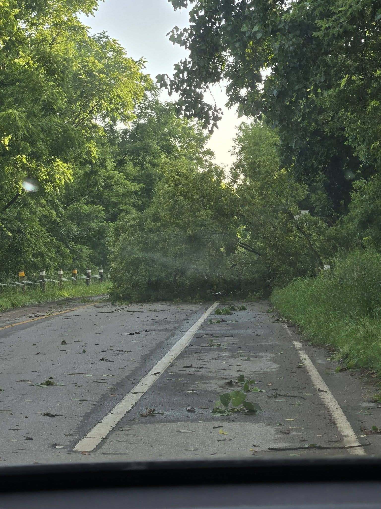 Canada Day storm caused damage, power outages