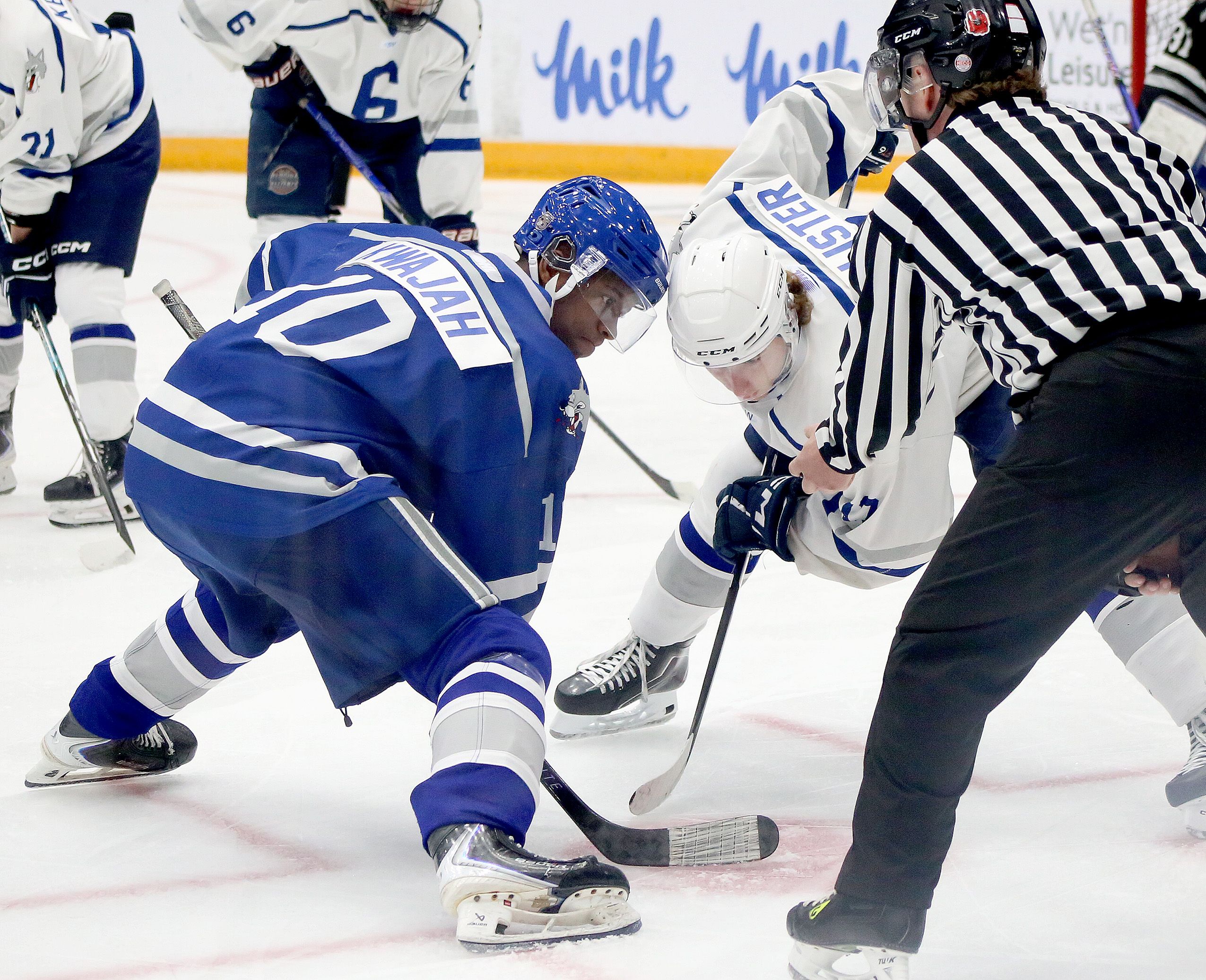 Sudbury Wolves trim pre-season roster to 31, prepare for exhibition