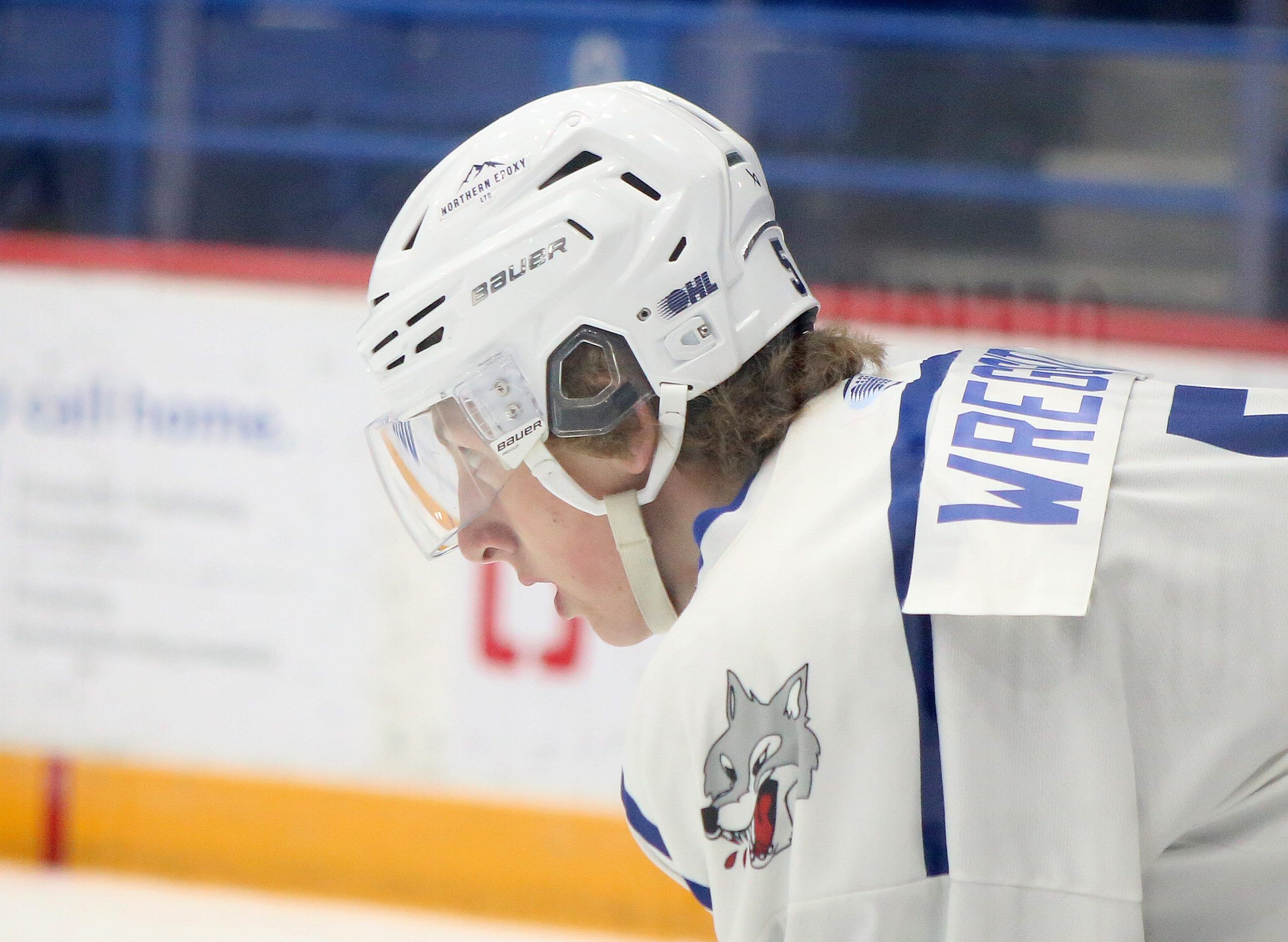 Sudbury Wolves drop OHL pre-season finale against Kingston