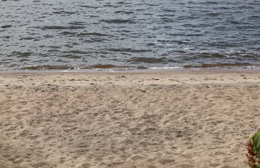 Shoreline