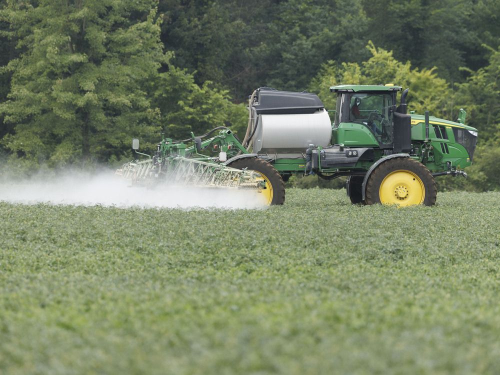 Farmers’ optimism returns