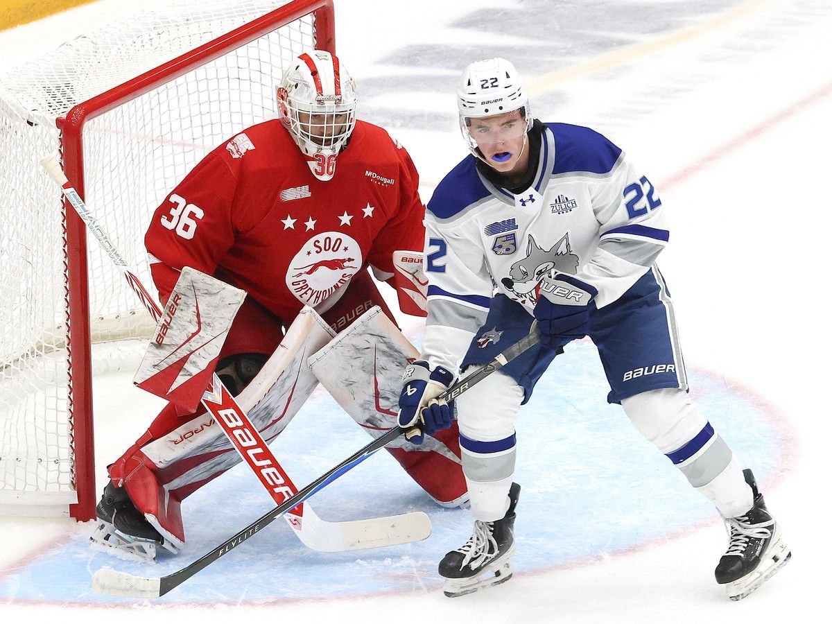 Sudbury Wolves suffer pre-season loss to Soo Greyhounds