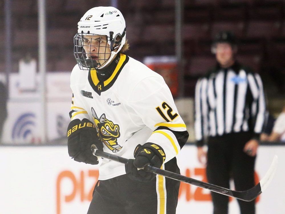The Sarnia Sting have sent two recently signed rookies – forward Evan Bannister and goalie David Healy – to the Sarnia Legionnaires.