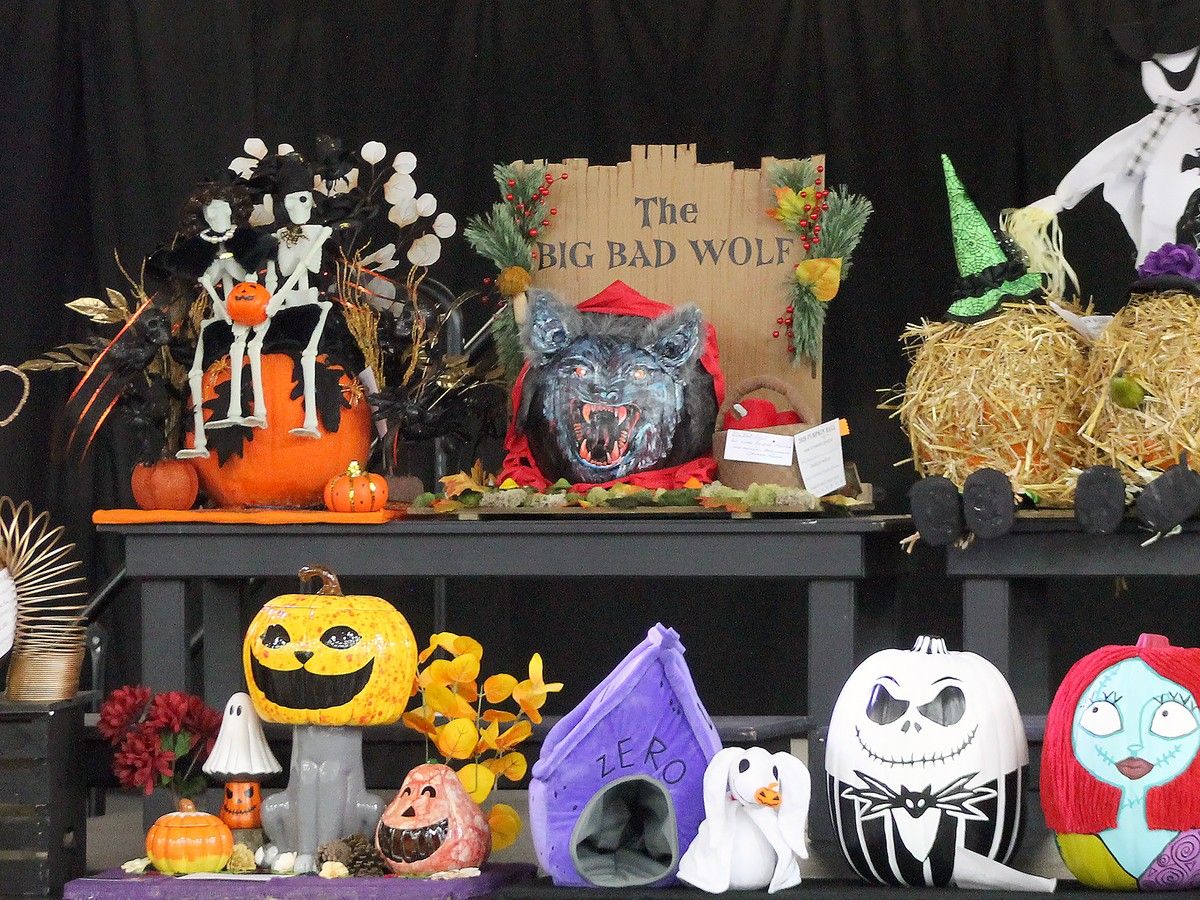 WDACS's 50th pumpkin ball a record-setting fund raiser