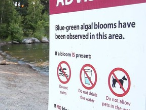 https://smartcdn.gprod.postmedia.digital/nugget/wp-content/uploads/2020/09/cropped-blue-green-algae-sign.jpg